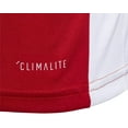 thumbnail image 5 of adidas Boy's Entrada 18 Jersey Small Power Red, 5 of 5