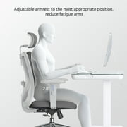Sihoo High Back Lumbar Support and Breathable Computer Desk Chair, Light Gray