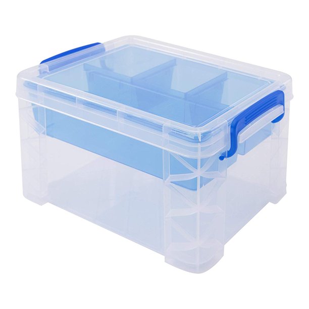 Divided Storage Box with Removable Tray, 10 x 7.5 x 6.5 Inches (37375), Clear divided storage