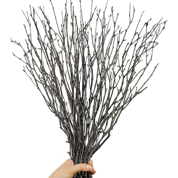 Triani 20Pcs Branch Plant Decor Artificial Twigs 19.6" Lifelike Curly Willow Branches Dried Birch Branches Stick for Decoration Craft Decoration Birch Stick for DIY Wedding Arrangements