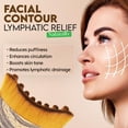 thumbnail image 3 of PUUR HOUSE Cepillo facial de contorno linfático - Cepillo seco facial - Masajeador de drenaje linfático Herramienta de belleza de cepillado suave y seco para la línea de la mandíbula, la barbilla y la, 3 of 7