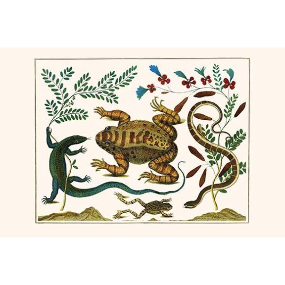 Toad, Lizard, Serpentes, Leopard Frog, Capers-Fine Art Canvas Print (20" x 30")