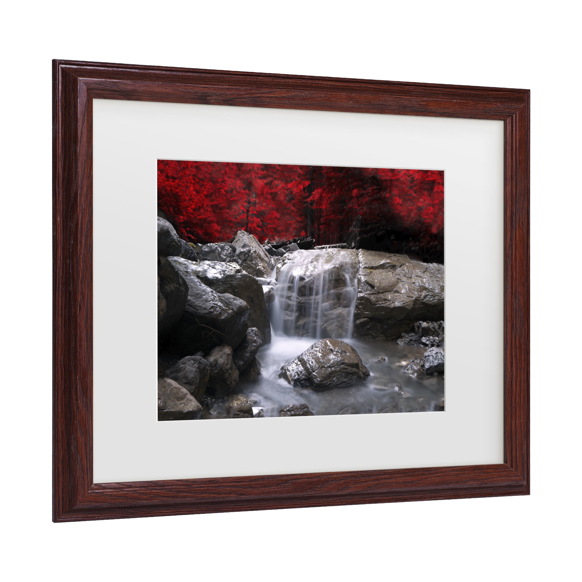Trademark Fine Art 'Red Vison' Canvas Art by Philippe Sainte-Laudy