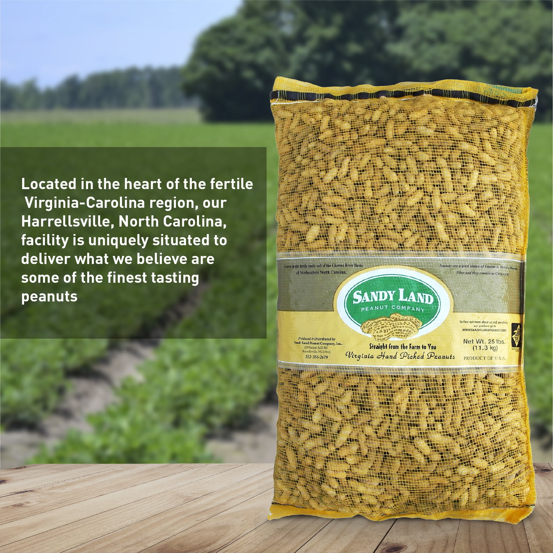 Sandy Land Peanuts - 25 Pounds