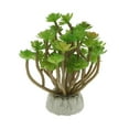 thumbnail image 4 of DOLITY Terrarium pour Reptiles Paysage Lotus, 4 of 8