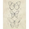 thumbnail image 2 of Vess, June Erica 26x32 White Modern Wood Framed Museum Art Print Titled - Vintage Butterfly Sketch I, 2 of 4