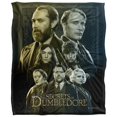 thumbnail image 1 of Fantastic Beasts Movie Poster Blanket, 1 of 7