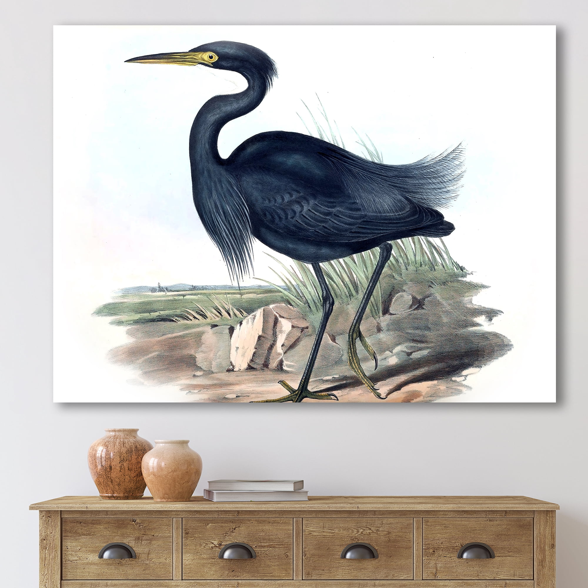 Designart ' Ancient Australian Birds III ' Traditional Canvas Wall Art Print