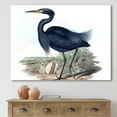 thumbnail image 2 of Designart ' Ancient Australian Birds III ' Traditional Canvas Wall Art Print, 2 of 4