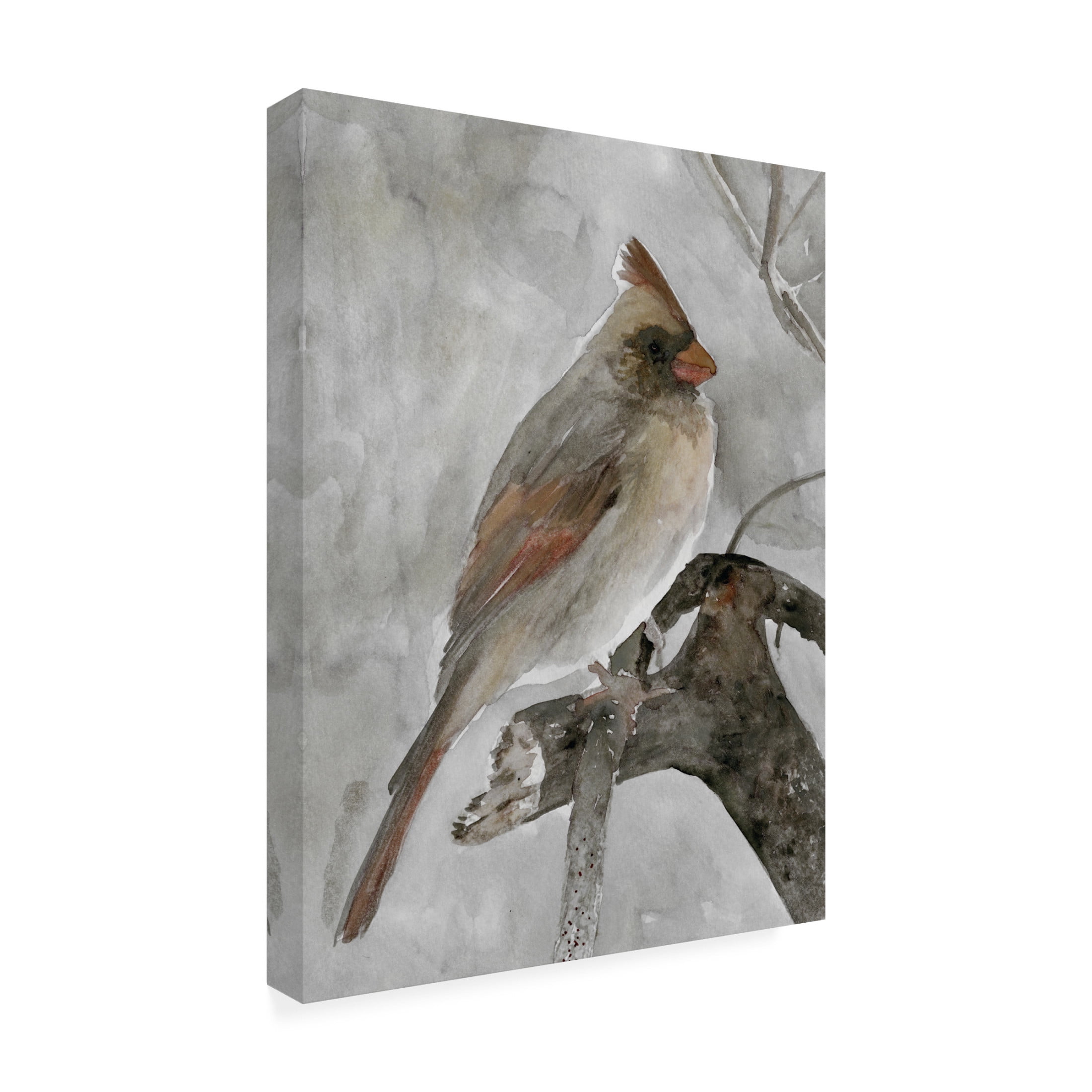 Canvas Wall Art - Stellar Design Studio 'Branched I' Wall Art for Living Room, Bedroom, or Office Décor by Trademark Fine Art - 18 x 24 Inches