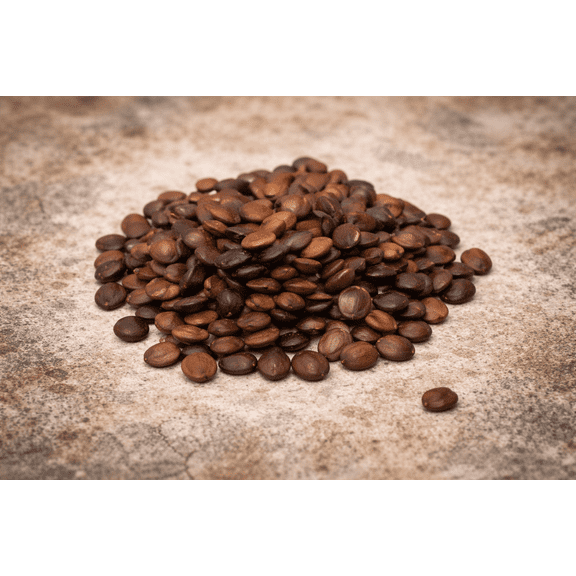 Redbud Tree Seeds to Grow - 25  Seeds - Early Blooming Pink Flowers Amaze! - Ships from Iowa.