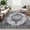 Grey, variant on Haperlare Vintage Distressed Area Rugs for Living Room Washable Non Shedding Stain-Resistant Rugs for Kitchen Dining Room,Grey Carpet,9'x12'