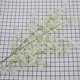 thumbnail image 1 of Nvzi 5 piezas de flores artificiales de tacto real para decoración del hogar, oficina, boda, arreglo floral (blanco, 114 cm de largo), 1 of 5