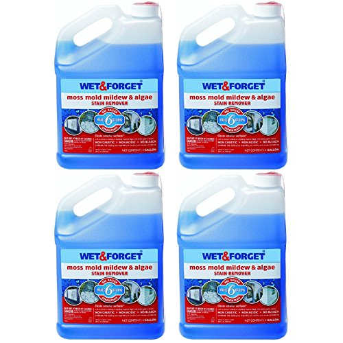 Wet and 800006 1 Gallon Outdoor Moss Mold Mildew Cleaner Remover, 4Pack