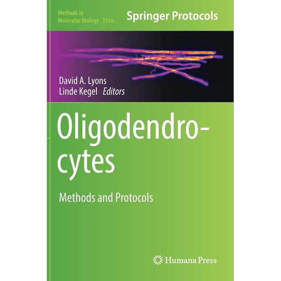 Methods in Molecular Biology Oligodendrocytes: Methods and Protocols, Book 1936, (Hardcover)