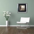 thumbnail image 3 of Trademark Fine Art "Florison 55" Canvas Art by Alan Blaustein, Black Matte, Silver Frame, 3 of 4