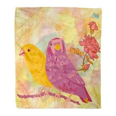 SIDONKU Throw Blanket Warm Cozy Print Flannel Post Two Romantic Birds Rose Bouquet and Teal Blue Butterfly Watercolor Comfortable Soft for Bed Sofa and Couch 58x80 Inches