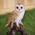 thumbnail image 2 of HI-LINE GIFT LTD. SMALL BARN OWL ON STUMP, 2 of 6