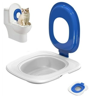 Training Cat to Use Toilet: A Step-by-Step Guide