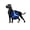 Blue-without LED, variant on Great Dane dog Vinyl Record Wall Clock for Kitchen Wall Decor Wall Art Gift for Lover Gift Idea for a Best Friend(P)