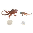 thumbnail image 2 of Ensemble de Modèles de Cycle de Vie d'Iguane, Figurines d'Animaux Réalistes Modèle de Croissance d'Iguane Ornement de Protection Environnementale Inodore pour l'Éducation Précoce, 2 of 7