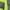 Green, variant on Ergodyne GloWearÂ® 8384 Type R Class 3 Thermal Parka, Lime, 3XL