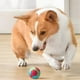 thumbnail image 4 of Pet Toys Dogs Won't Gnaw Dogs Won't Gnaw Molars Won't Gnaw Self Pleasure Relief Toys Balls Funny Cats Pet Balls Supplies, 4 of 6