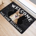 Funny Door Mat You Look Delicious Indoor Doormat Front