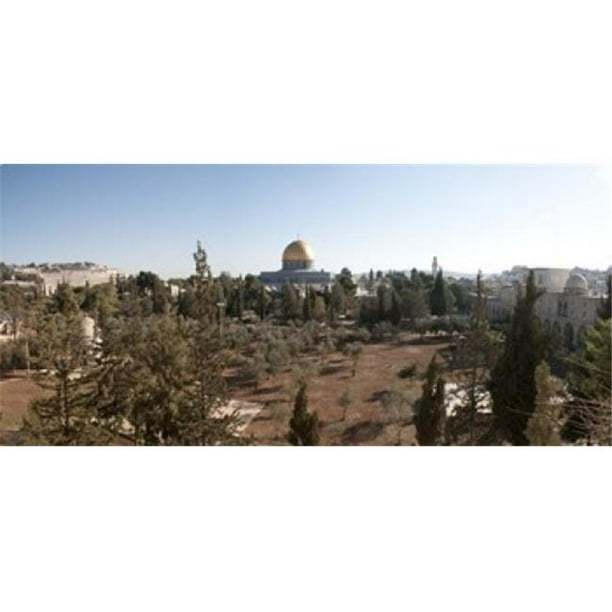 Panoramic Images Ppi132830l Trees With Mosque In The Background Dome Of The Rock Temple Mount Jerusalem Israel Poster Print By Panoramic Images 36 X 12 Walmart Com Walmart Com