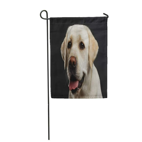 POGLIP Portrait of Beige Labrador Retriever Dog Curious Face Garden Flag Decorative Flag House Banner 28x40 inch