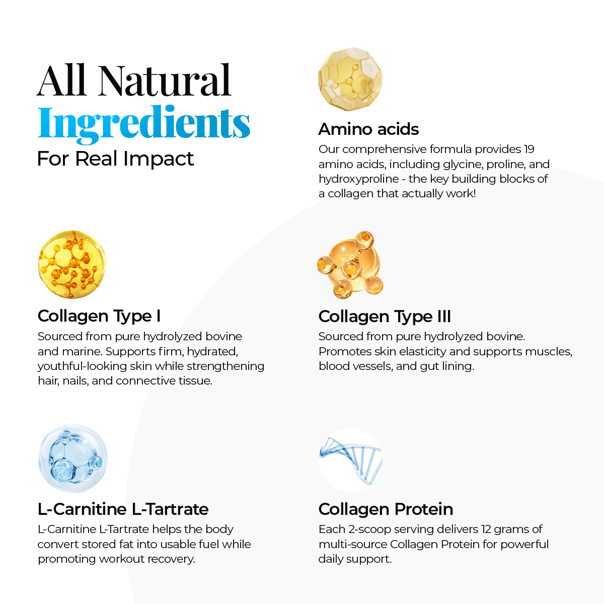 Healthful Seasons Multi Collagen Peptides Powder with L-Carnitine Hydrolyzed Protein for Hair Skin Nails Joints Unflavored 1-Count