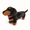 Black, variant on RNHNLOH Dachshund Plush Toy, 13.8 in Soft Dog Stuffed Animal, Realistic Puppy Gift