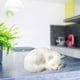 thumbnail image 5 of Imitation Velvet Model Decoration Sleeping Table Decoration Home Decoration Stall, 5 of 6
