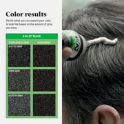 Just For Men Shampoo-In Color