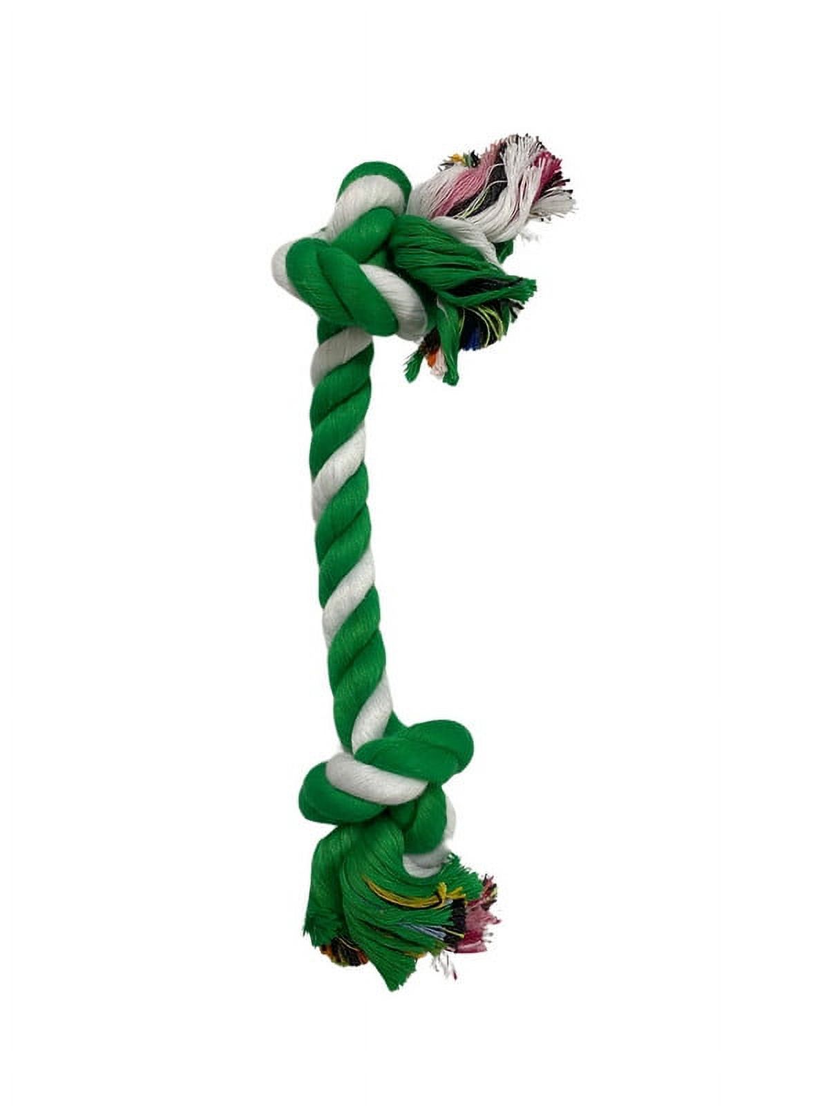 Vibrant Life Holiday 5 Piece Dog Toy Stocking Gift Set, Green