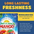 thumbnail image 4 of Paradise Valley Unsweetened Dried Mango Slices Gluten-Free Fruit Snack, 8 Oz 6-Pack, 4 of 8