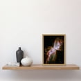 thumbnail image 2 of Hubble Space Telescope Image Celestial Butterfly Emerges From Stellar Demise In Planetary Nebula NGC 6302 Red Glow Dying Star In Milky Way Galaxy Artwork Framed Wall Art Print A4, 2 of 5