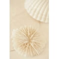 thumbnail image 2 of Millet, Karyn 23x32 Gold Ornate Wood Framed with Double Matting Museum Art Print Titled - Ocean Treasures I, 2 of 4