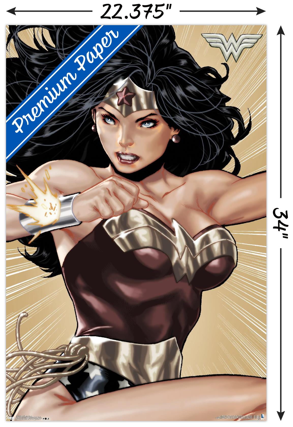 DC Comics Wonder Woman Wall Poster 