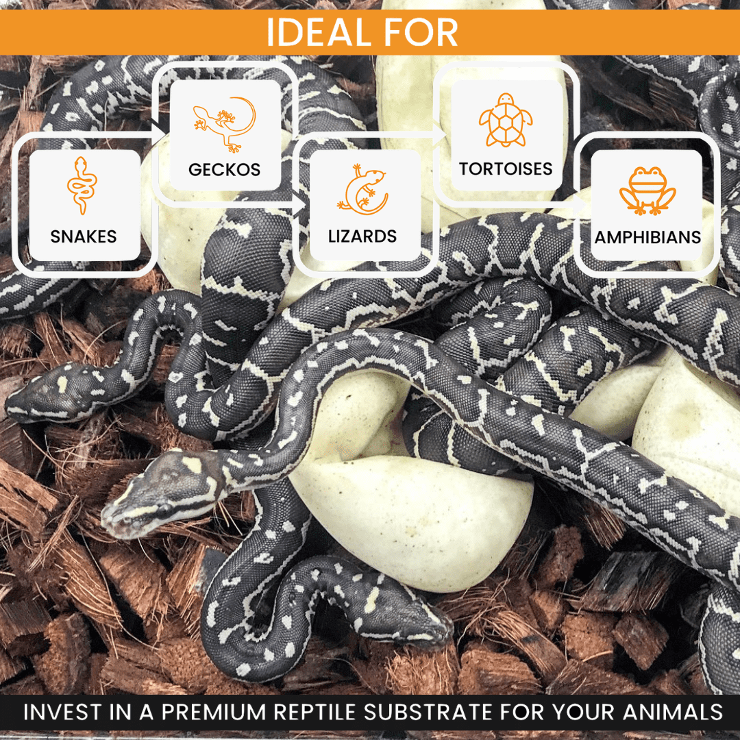 ReptiChip Premium Reptile Substrate Coarse Coconut Chip Mix The Perfect Bedding for Pythons, Boas, Lizards, and Amphibians… (12 Quart)