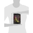 thumbnail image 2 of In the Afterlight (A Darkest MInds Novel), 2 of 2