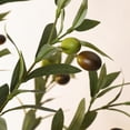thumbnail image 4 of Indoor 6 ft artificial olive tree - realistic faux olive tree con moss in double-handled woven basket, silk plant con faux wood trunk y fruit, ideal para para home o oficina decor, 1 pack, 4 of 6