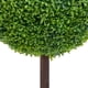 thumbnail image 3 of Planta de boj artificial VidaXL en forma de bola con maceta de 20 cm, 3 of 6