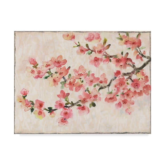 Trademark Fine Art 'Cherry Blossom Composition I' Canvas Art by Tim OToole