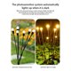 thumbnail image 2 of Advancent Luz de paisaje con carga Solar, lámparas nocturnas ahorradoras de energía, iluminación decorativa de varios cabezales, jardín al Iluminación y accesorios 6 cabezales/luz cálida, 2 of 6