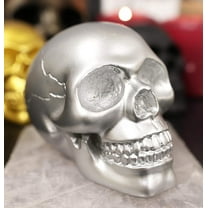 Ebros Pirate's Loot Graveyard Human Skull Figurine 3.75"L (Metallic Silver)
