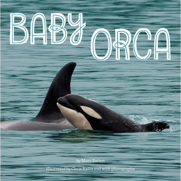 Baby Orca, (Paperback)