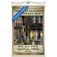 thumbnail image 3 of Lisa Parker - Apothecary Shop Wall Poster with Wooden Magnetic Frame, 22.375" x 34", 3 of 5