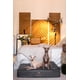 thumbnail image 2 of Cama grande para perros NOAH & PAW, 89 x 64 x 22 cm, refrigeración ortopédica, 2 of 6