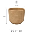 thumbnail image 3 of Maceta de Arcilla Color Oyamel Claro, 3 of 3